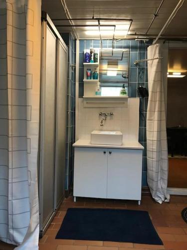 a bathroom with a white sink and a shower at Independent Apartment in Sandnes in Sandnes