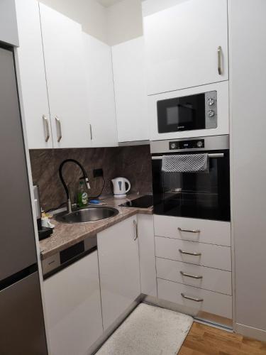 Kuchyň nebo kuchyňský kout v ubytování Luxury Apartment Bulevar