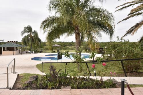 a palm tree and a swimming pool with a palm tree at Los Naranjos Termal in Termas del Daymán