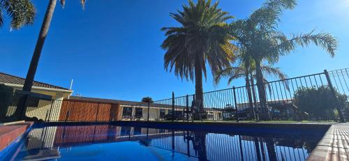 a swimming pool with palm trees and a fence at Albatross Motor Inn in Lakes Entrance