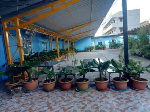 ラートクラバンにあるNopphadon Hotelの建物の中に置かれた鉢植えの植物の束
