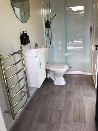 a bathroom with a toilet and a shower and a sink at A Rural Retreat cabin with Private bathroom in Twyford