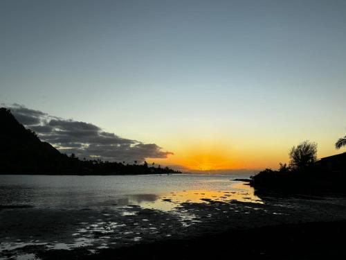 a sunset over a body of water with the sun setting at Chez PASCAL et KIM in Papetoai