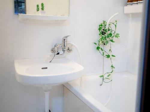 a white bathroom with a sink and a plant at 301 Grand Maison konohana 予約制駐車場,USJや海遊館に最適,駅から徒歩6分 in Osaka