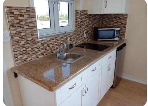 a kitchen counter with a sink and a microwave at 1-Hillview Cottages in Rolleville