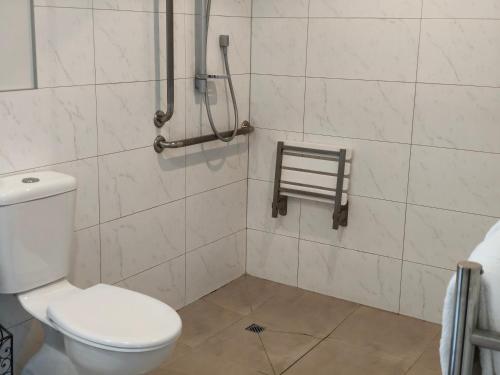a bathroom with a toilet and a shower at Braxmere Lodge in Turangi