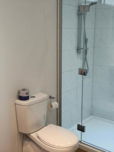 a bathroom with a toilet and a shower at Braxmere Lodge in Turangi