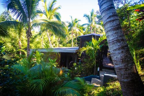 a house in the middle of a forest with palm trees at OHANA Jungle Lodges in Les Avirons