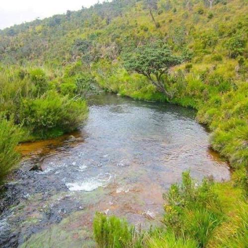 a river in the middle of a grassy field at Ohiya View Resort in Ohiya