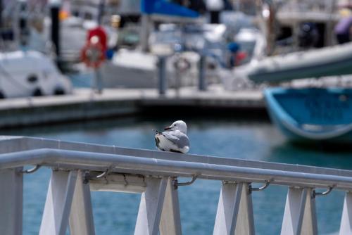 Φωτογραφία από το άλμπουμ του Marina Getaway σε Shellharbour