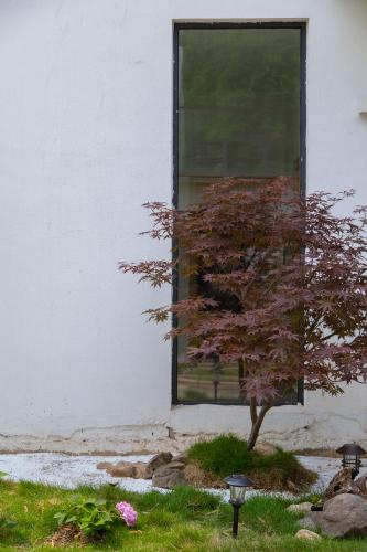 a tree in the grass in front of a window at Vretreats yunxishang Boutique Hotel in Deqing