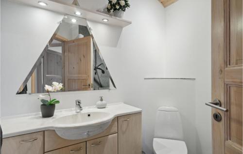 a bathroom with a sink and a mirror at Three-Bedroom Holiday Home In Vinderup in Vinderup