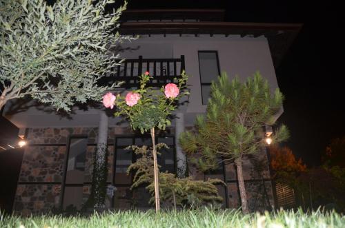 a house at night with trees in front of it at Zapovedni Rai in Primorsko