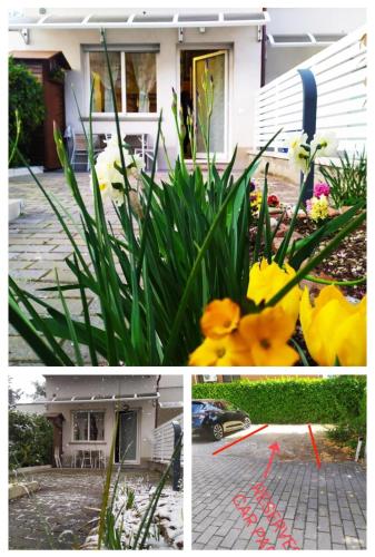BHH BOLOGNA HOLIDAY HOME private Garden Reserved Parking -wwwbolognaholidayhomecom- house garden parking photo 39