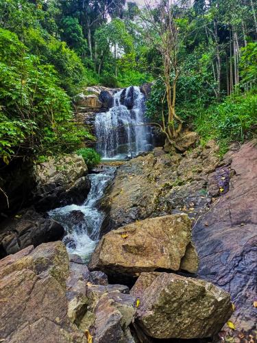 a waterfall in the middle of a forest with rocks at Creek Downhills in Ella