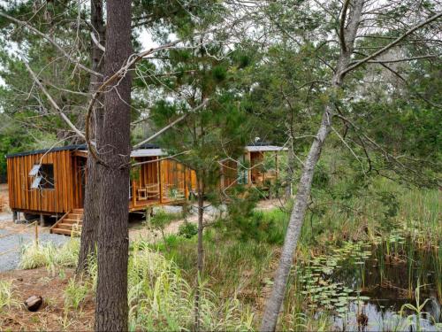 a cabin in the woods with a pond and trees at Cabins at Forest Gate Brewery and Distillery in Plettenberg Bay