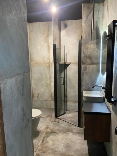 Ένα μπάνιο στο Business and Friendly Apartments Rzeszów self check-in
