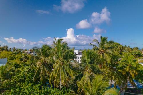 a group of palm trees in front of a building at Atoll Retreat in Fulidhoo