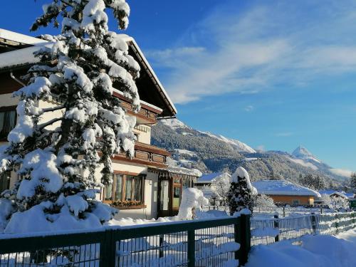 a snow covered tree in front of a house at Pension Leyrer in Kötschach
