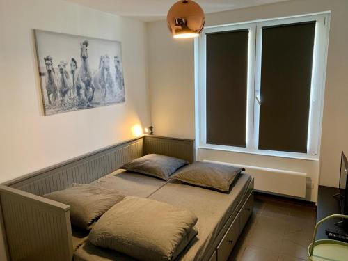 deux lits dans une chambre avec une fenêtre dans l'établissement Paris Express studio 5 min on foot to tube station, aux Lilas