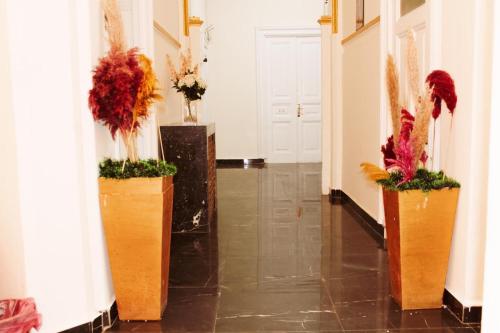 Billede fra billedgalleriet på New Palace i Kairo