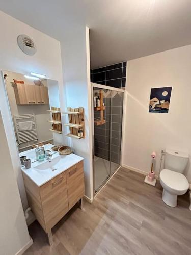 une salle de bain avec un lavabo, des toilettes et une douche dans l'établissement Appartement récent tout confort, à Caen