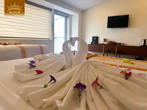 Μια τηλεόραση ή/και κέντρο ψυχαγωγίας στο Aurora Hotel Đà Lạt