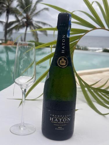 Bebidas en Msambweni Beach House and Private Villas