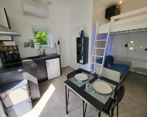 une cuisine et un salon avec un lit mezzanine dans l'établissement Daisy Bucolique #Parking #Terrasse #Calme, à Irigny