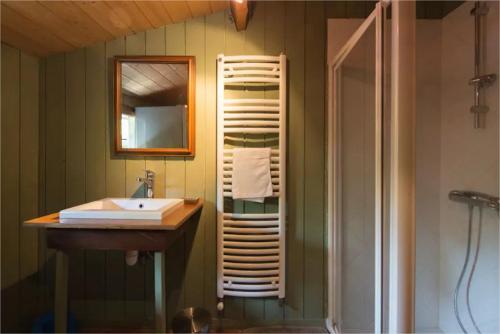 une salle de bain avec un lavabo, un miroir et une douche dans l'établissement Villa de plage de caractere 12-14 pers CAP FERRET, à Lège-Cap-Ferret