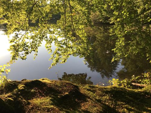 a view of a body of water with trees at Klosterhotel Walkenried in Walkenried