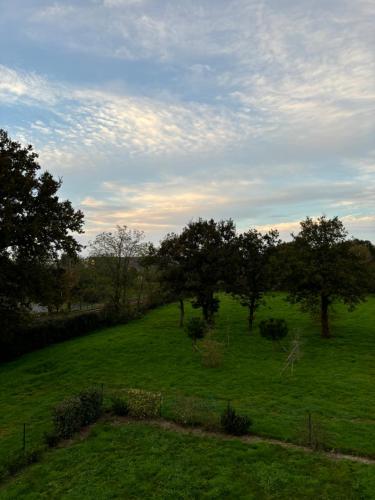 Photo de la galerie de l'établissement T1 bis chaleureux et bien situé, à La Roche-sur-Yon