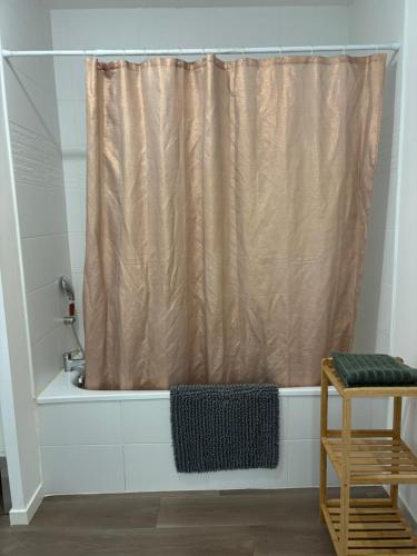 Photo de la galerie de l'établissement T1 bis chaleureux et bien situé, à La Roche-sur-Yon