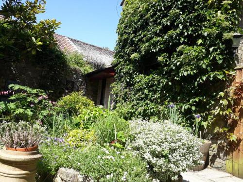 a garden with flowers and plants in front of a house at The Casterbridge in Dorchester