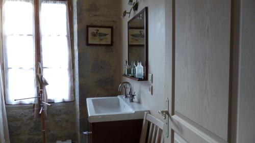 a bathroom with a sink and a mirror at Les Hirondelles in Fourcès