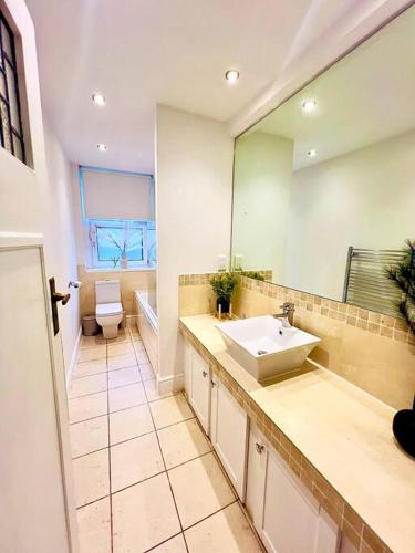 a bathroom with a sink and a toilet and a mirror at Meadows Court - Wyndale Living - Mansion Style Apt in Birmingham