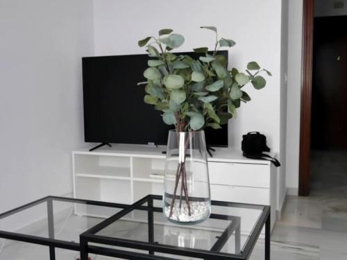 Málaga City One Bedroom Apartment BY NAMASTE ELITE