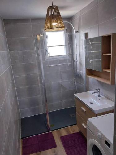une salle de bain avec douche et lavabo et une machine à laver dans l'établissement Maison plain-pied, à Pléaux