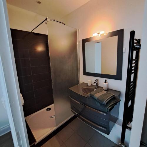 une salle de bain avec un lavabo et une douche avec un miroir dans l'établissement L'arrière cour, à Dijon