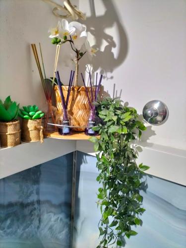 a table with vases and plants on it at Casa ART residenza Bouganville in Costa de Antigua