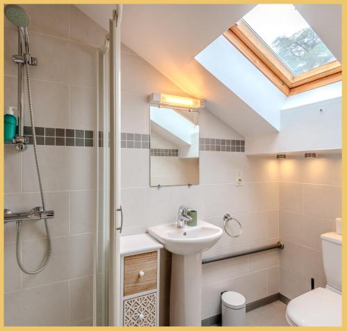 ein Badezimmer mit einem Waschbecken, einem WC und einem Dachfenster in der Unterkunft La Maison du Lac I Excenevex in Excenevex