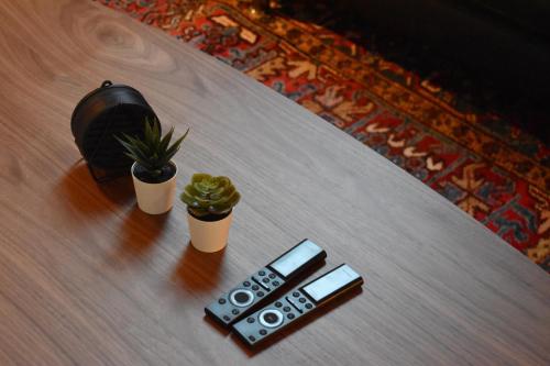 a table with a remote control and a potted plant at The Building 6 Loft in Spiez