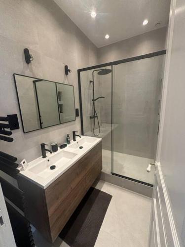 une salle de bain avec un lavabo et une douche dans l'établissement Le Splendide au Centre ville de Versailles, à Versailles