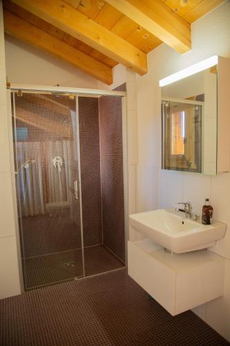 a bathroom with a shower and a sink and a mirror at Big luxury Chalet with amazing view in Les Crosets