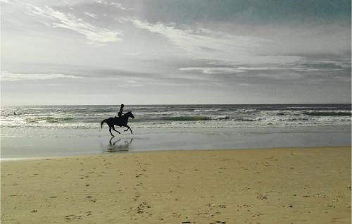 a person riding a horse on the beach at Stunning Home In Ringkøbing With Sauna in Søndervig