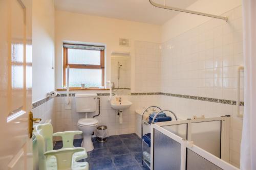 a bathroom with a toilet and a sink at Beech Lodge, Ballindrum R14RX60 in Athy