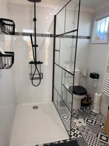 une salle de bain avec une douche en verre et des toilettes dans l'établissement Maison bord de mer, à Poggio-Mezzana