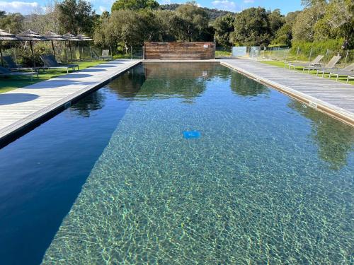une piscine avec un objet bleu dans l'eau dans l'établissement Appartement 4* piscine et plage à pied, à Porto-Vecchio