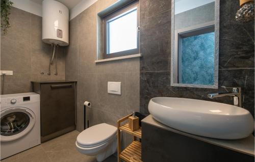 a bathroom with a sink and a washing machine at Amazing Home In Krsan With Sauna in Kršan