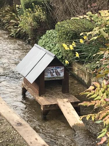 Vista de un río cerca de esta posada u hostería